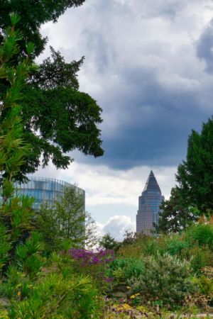 mit Luminar bearbeitet