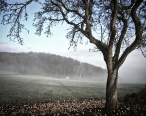 mit Luminar bearbeitet