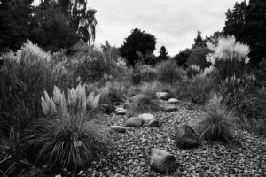 mit Luminar bearbeitet