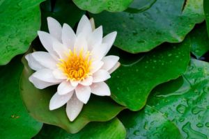 mit Luminar bearbeitet