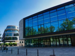 mit Luminar bearbeitet