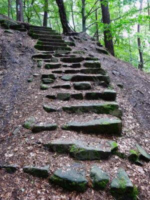 mit Luminar bearbeitet