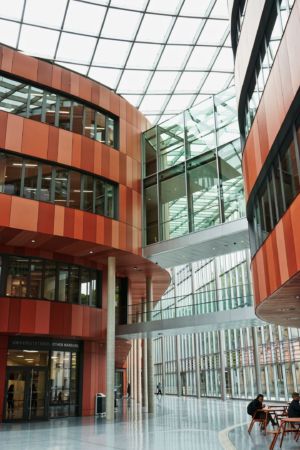 mit Luminar bearbeitet