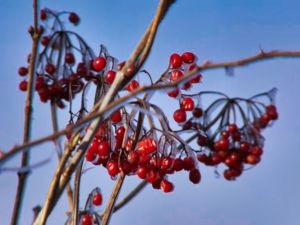 mit Luminar bearbeitet