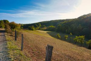 mit Luminar bearbeitet