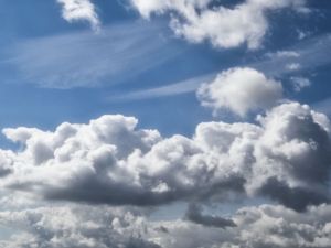 mit Luminar bearbeitet